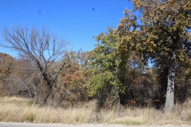 a view of a dry yard with trees