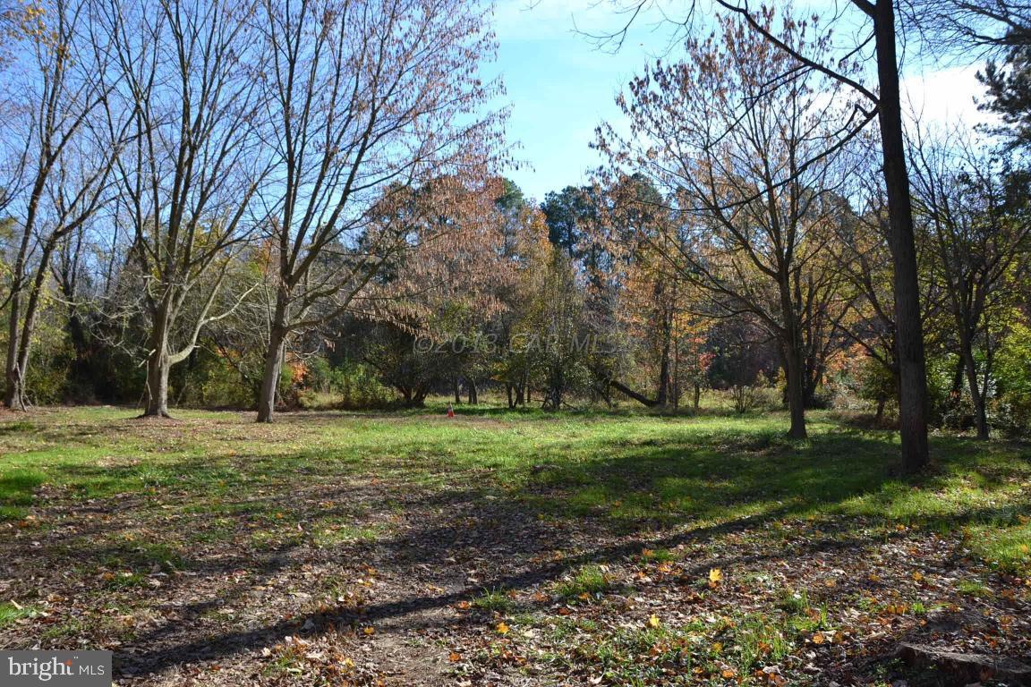 12369 East Ridge Road Princess Anne, MD 21853 - Photo 15 of 23