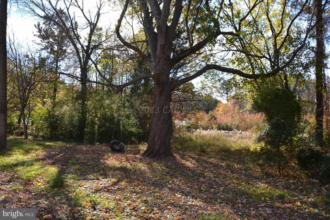 12369 East Ridge Road Princess Anne, MD 21853 - Photo 16 of 23