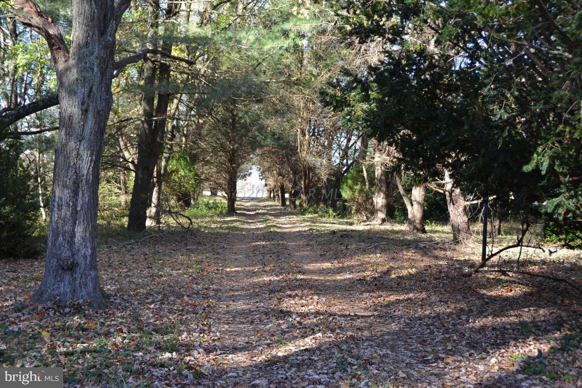 12369 East Ridge Road Princess Anne, MD 21853 - Photo 18 of 23