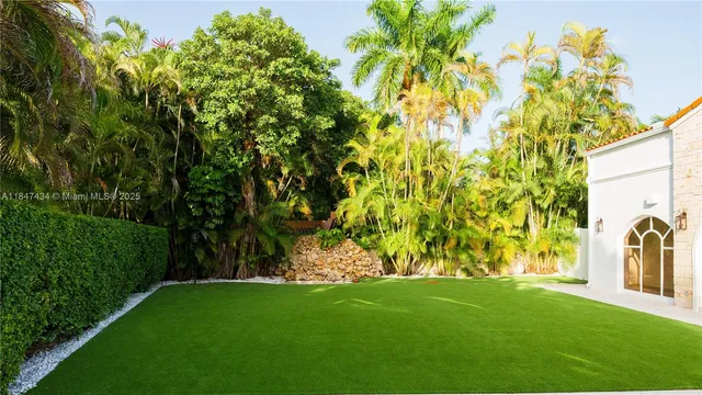 a view of a yard with a tree