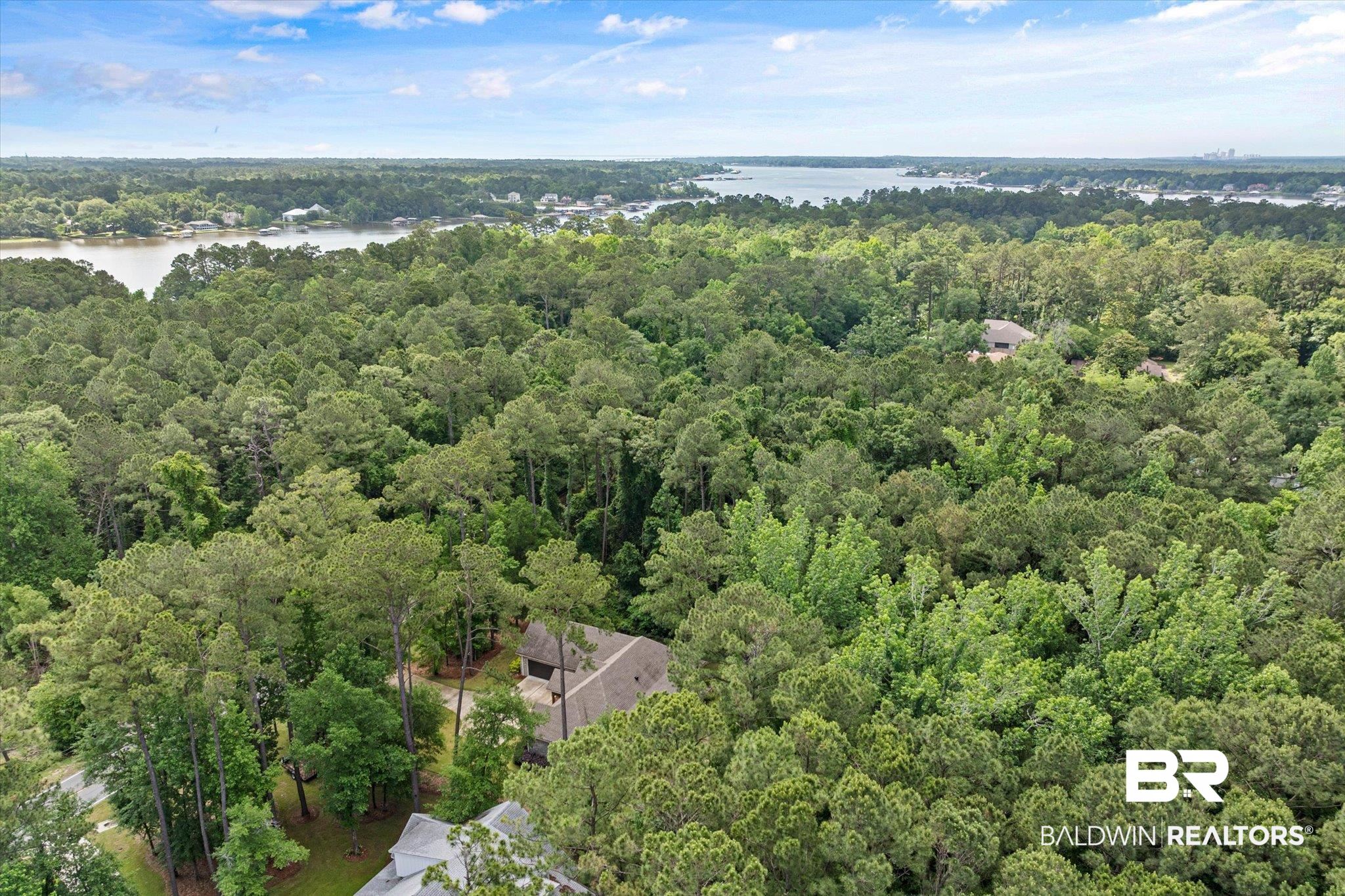 3250 Riviere Du Chien Road Mobile, AL 36693 - Photo 48 of 49