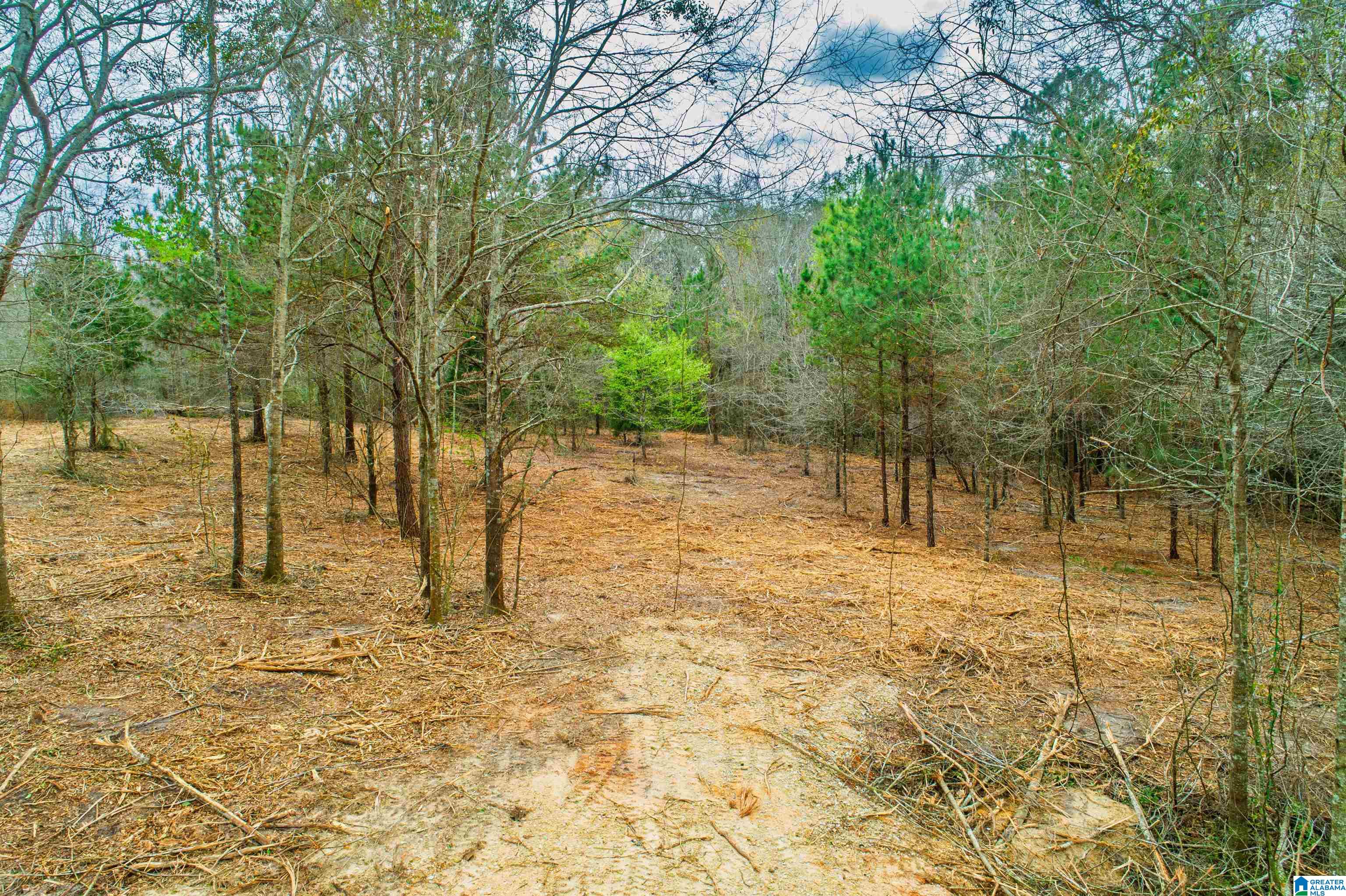 27180 Deer Run Road Opp, AL 36467 - Photo 39 of 60