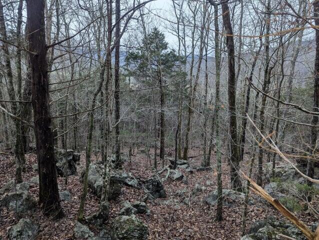 0 Martin Gaines Road South Pittsburg, TN 37380 - Photo 1 of 3 MG1