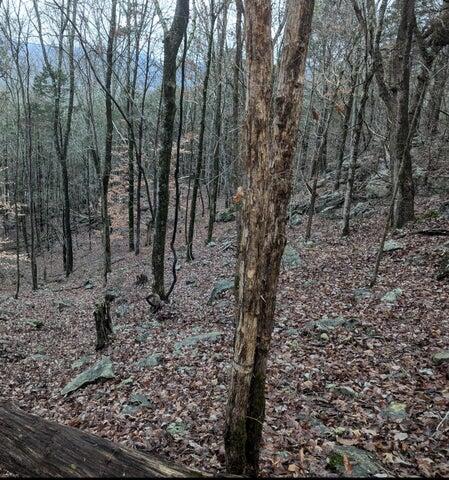 0 Martin Gaines Road South Pittsburg, TN 37380 - Photo 2 of 3 MG2
