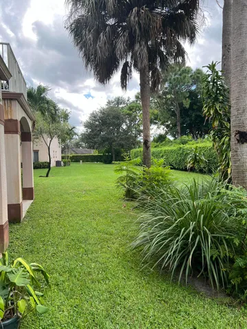 a view of a garden with a tree