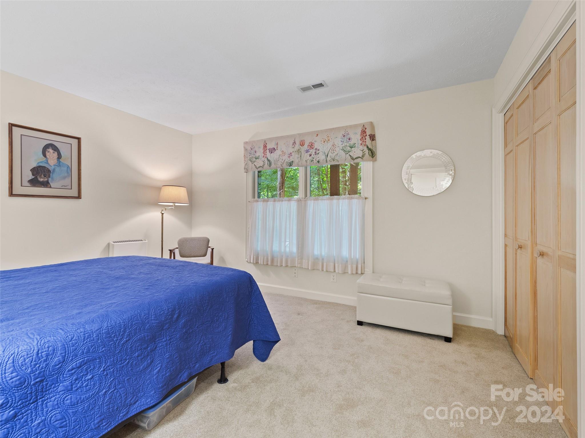 2509 Little River Road Hendersonville, NC 28739 - Photo 29 of 37