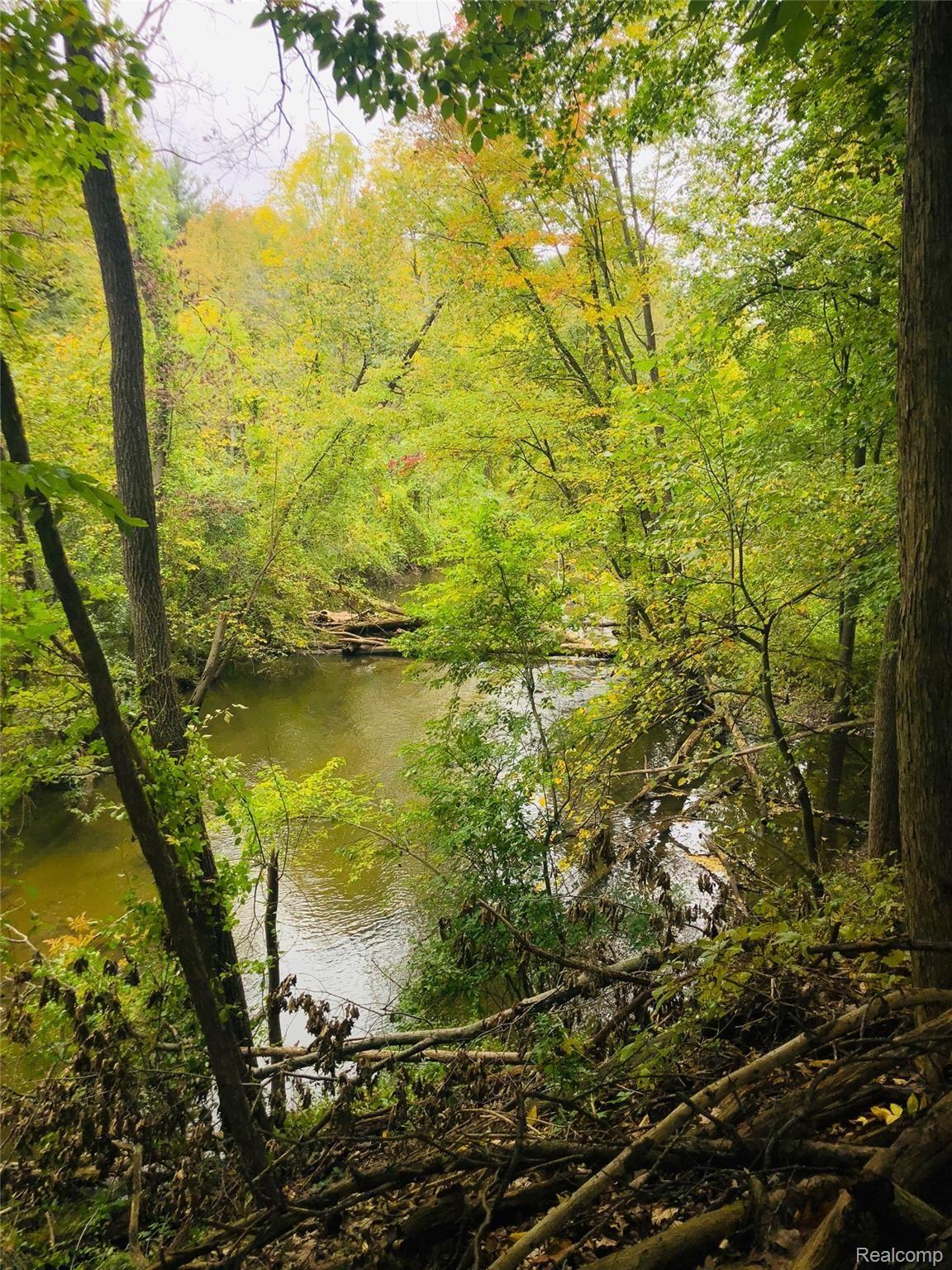 1481 Mill Race Road Rochester, MI 48306 - Photo 18 of 21 creek.jpg