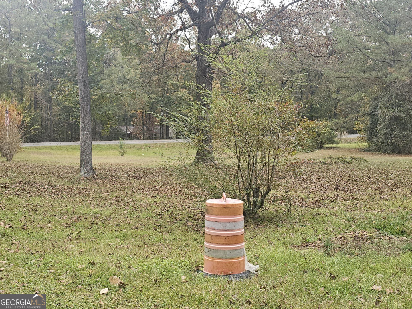 7131 Highway 27 Hamilton, GA 31811 - Photo 7 of 16 a backyard of a house with a yard and trees