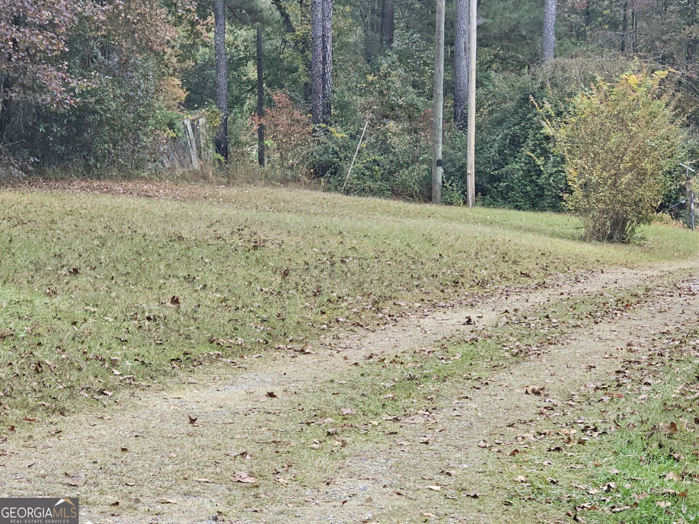 7131 Highway 27 Hamilton, GA 31811 - Photo 8 of 16 a view of a yard with a tree