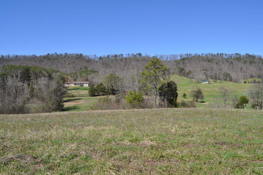 Mockingbird Road Seymour, TN 37865 - Photo 1 of 11 pic8