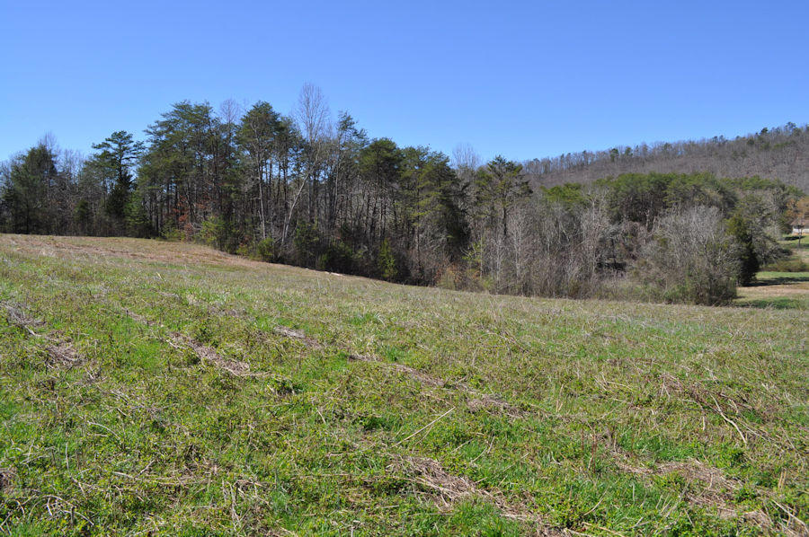 Mockingbird Road Seymour, TN 37865 - Photo 11 of 11 pic7