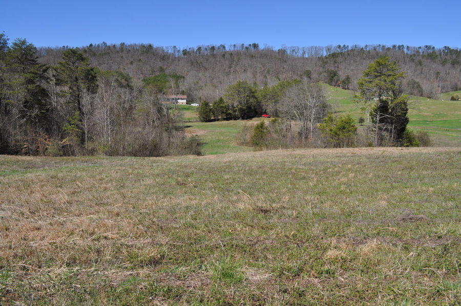 Mockingbird Road Seymour, TN 37865 - Photo 3 of 11 pic9