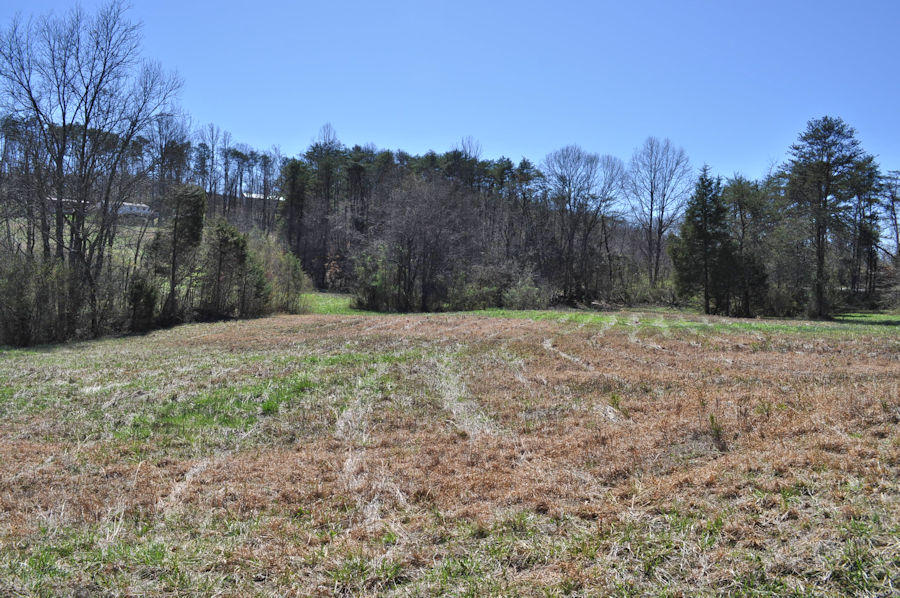 Mockingbird Road Seymour, TN 37865 - Photo 7 of 11 pic3
