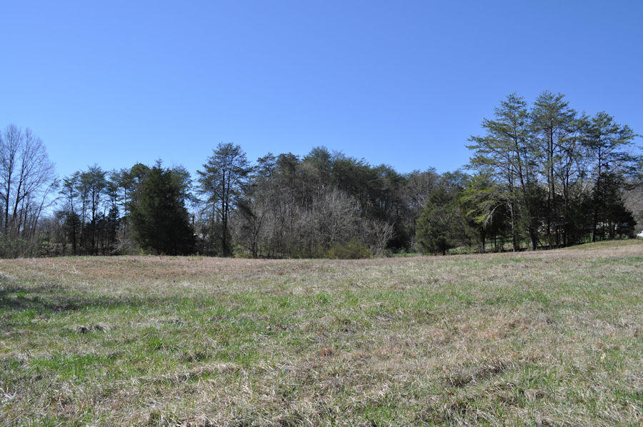 Mockingbird Road Seymour, TN 37865 - Photo 8 of 11 pic4