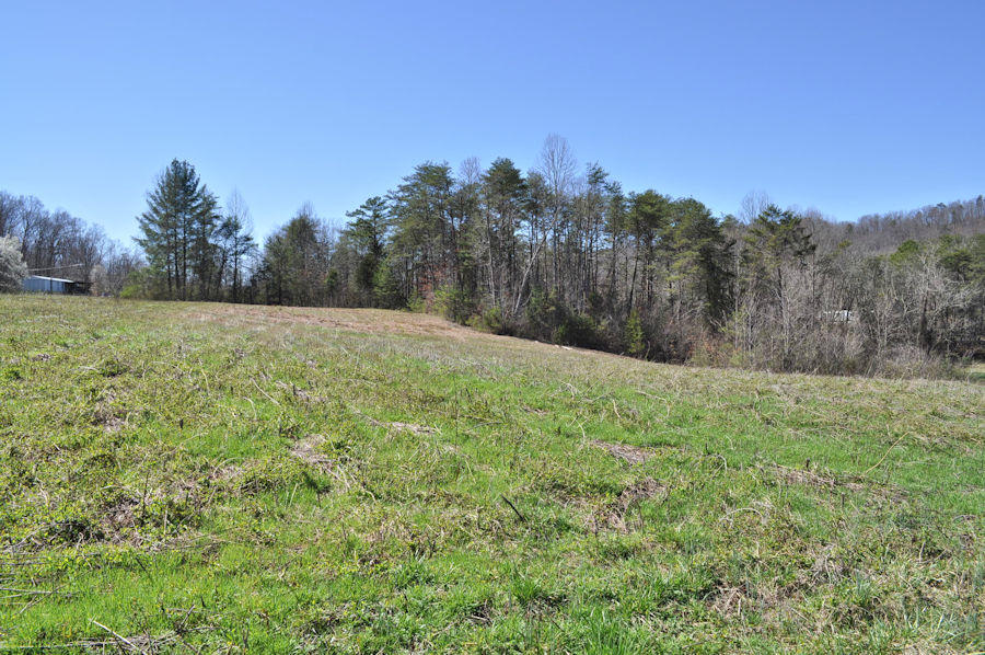 Mockingbird Road Seymour, TN 37865 - Photo 9 of 11 pic5