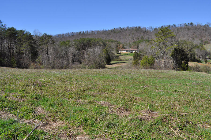 Mockingbird Road Seymour, TN 37865 - Photo 10 of 11 pic6