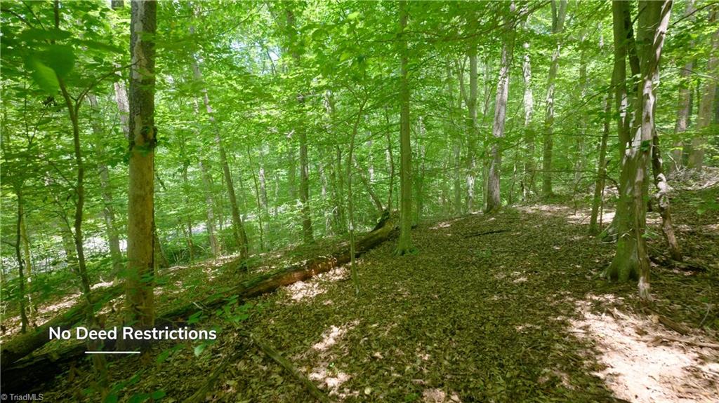 0 Johnson Road King, NC 27021 - Photo 12 of 40