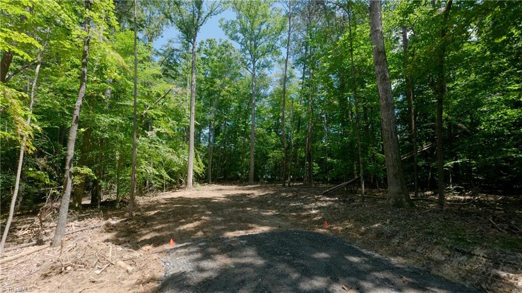 0 Johnson Road King, NC 27021 - Photo 13 of 40