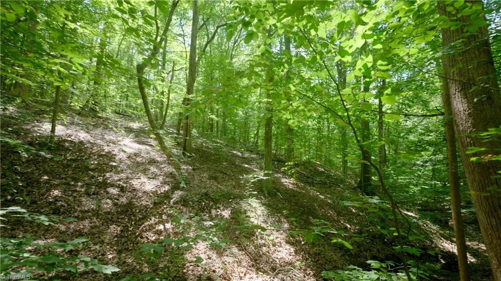 0 Johnson Road King, NC 27021 - Photo 14 of 40