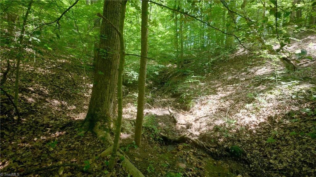 0 Johnson Road King, NC 27021 - Photo 15 of 40