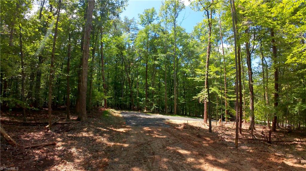 0 Johnson Road King, NC 27021 - Photo 26 of 40