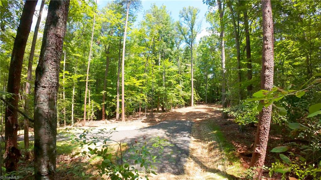 0 Johnson Road King, NC 27021 - Photo 27 of 40