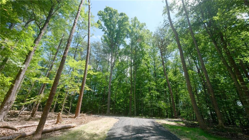 0 Johnson Road King, NC 27021 - Photo 32 of 40