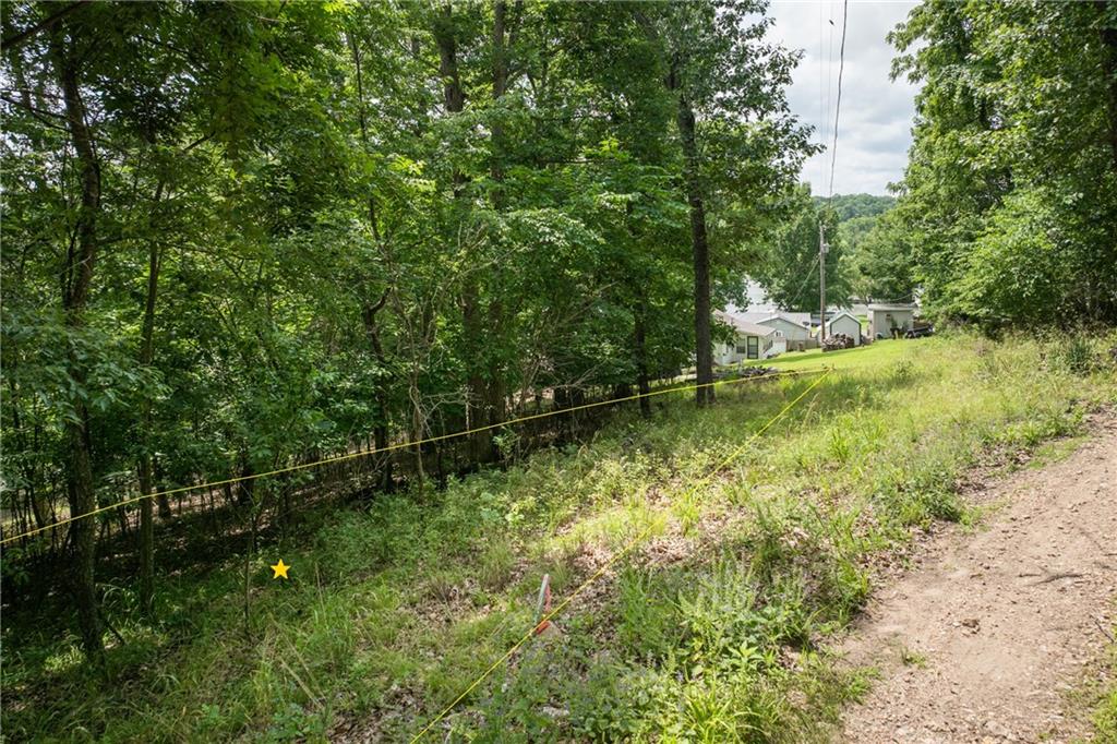 28887 Mortensen Road Lincoln, MO 65338 - Photo 48 of 59