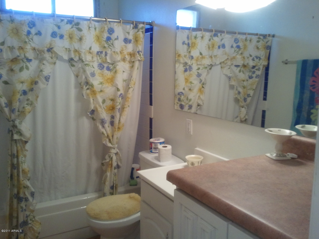 3508 East Hearn Road Phoenix, AZ 85032 - Photo 6 of 6 Bathroom