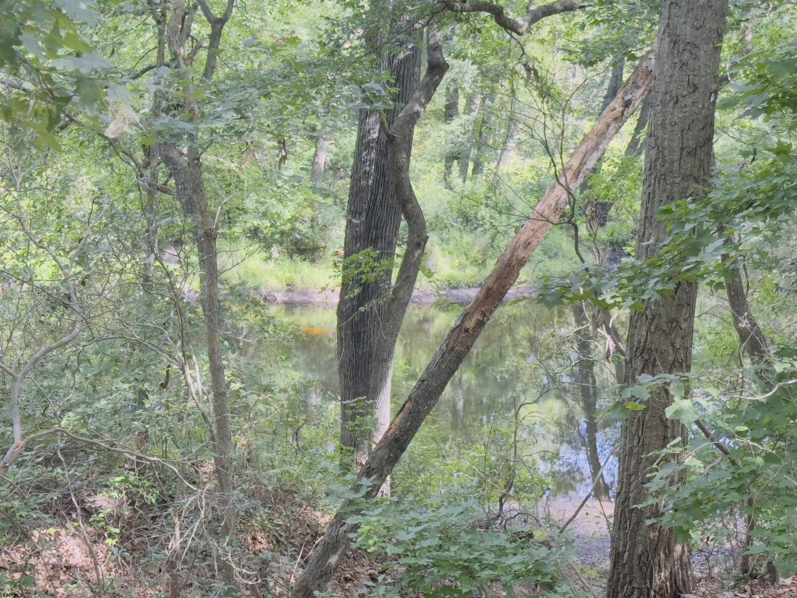 2015 High Bank Road Mays Landing, NJ 08330 - Photo 85 of 89