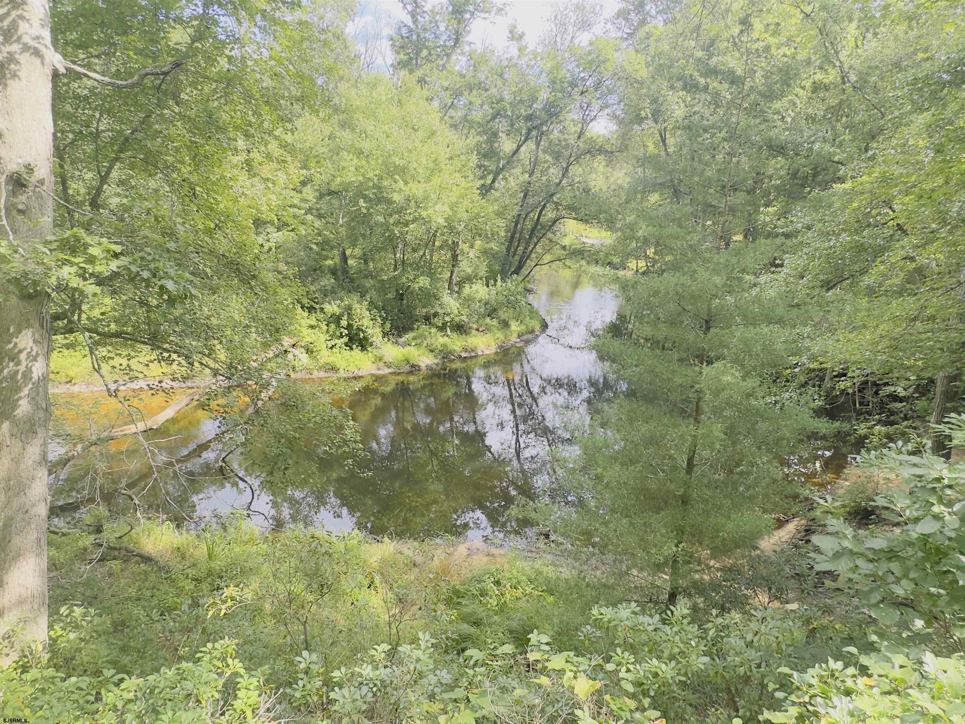 2015 High Bank Road Mays Landing, NJ 08330 - Photo 86 of 89 a close up of a tree in a yard
