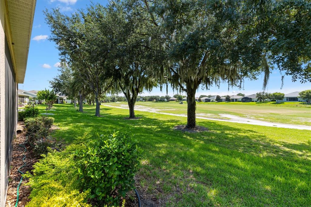 4110 Arlington Ridge Boulevard Leesburg, FL 34748 - Photo 36 of 57