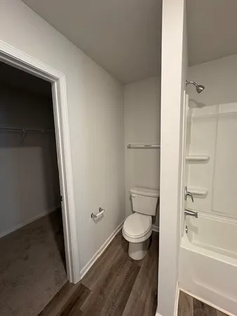 a bathroom with a toilet and a bathtub