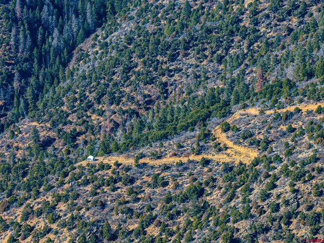 a view of a dry yard with mountain