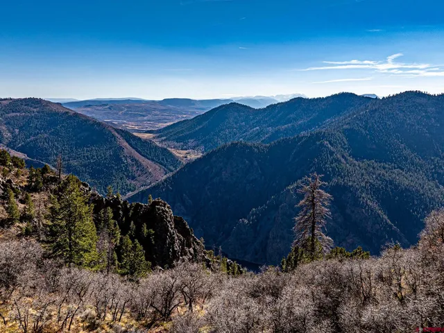 a view of an outdoor space
