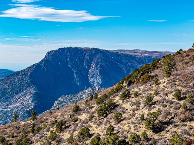 a view of entryway with garden