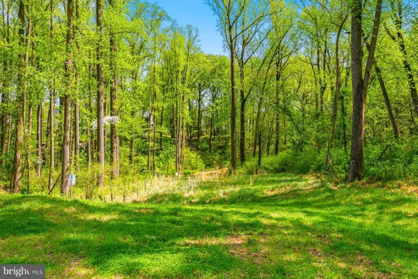 a view of outdoor space with deck and yard