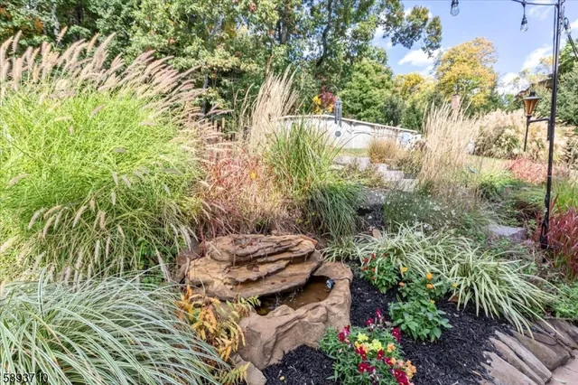 a view of a backyard with plants