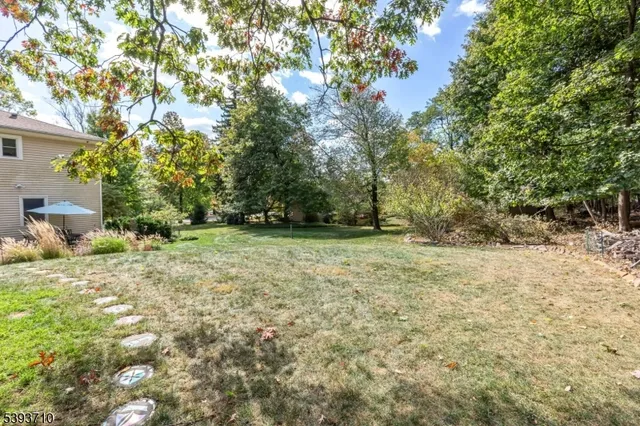 a view of outdoor space and yard