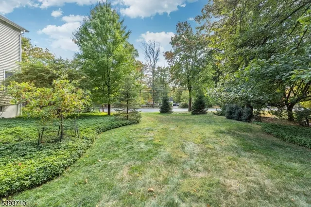 a view of a garden with trees