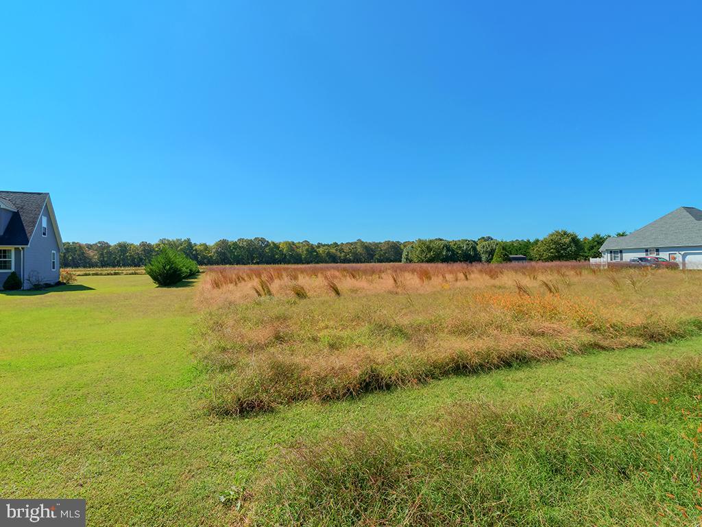 Lot 6 Deer Forest Road Bridgeville, DE 19933 - Photo 1 of 10 Gallery Image 1