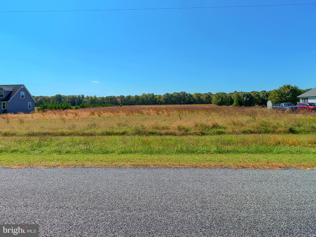 Lot 6 Deer Forest Road Bridgeville, DE 19933 - Photo 4 of 10 Gallery Image 4