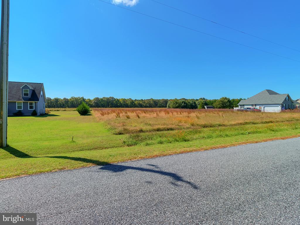 Lot 6 Deer Forest Road Bridgeville, DE 19933 - Photo 5 of 10 Gallery Image 5