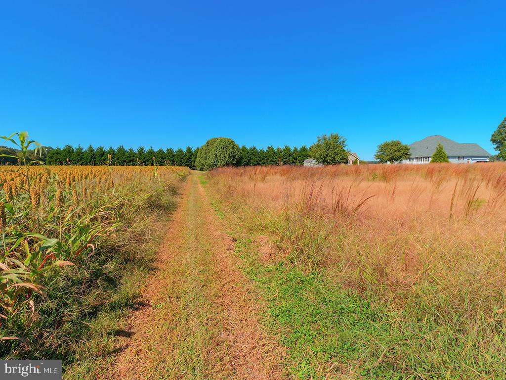 Lot 6 Deer Forest Road Bridgeville, DE 19933 - Photo 7 of 10 Gallery Image 7