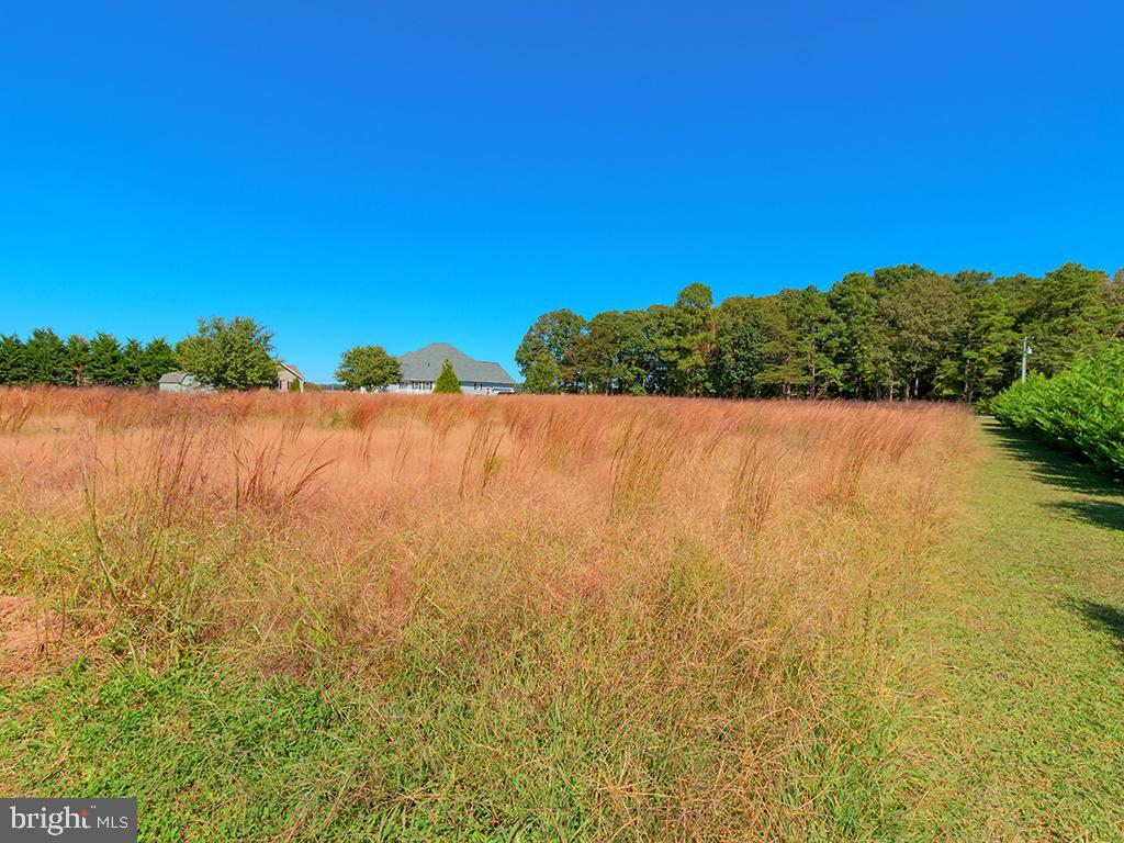 Lot 6 Deer Forest Road Bridgeville, DE 19933 - Photo 8 of 10 Gallery Image 8