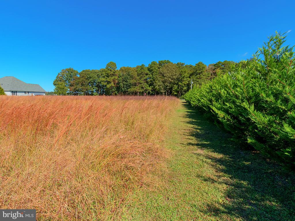 Lot 6 Deer Forest Road Bridgeville, DE 19933 - Photo 9 of 10 Gallery Image 9
