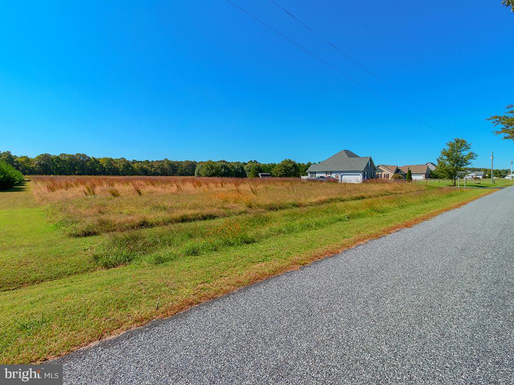 Lot 6 Deer Forest Road Bridgeville, DE 19933 - Photo 10 of 10 Gallery Image 10