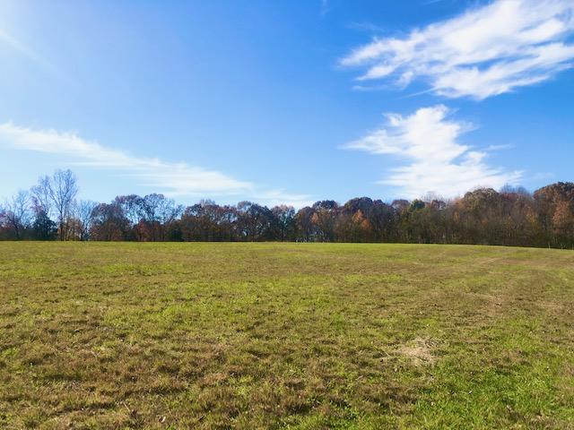 Cookeville Boat Dock Road Baxter, TN 38544 - Photo 2 of 9 IMG_8551