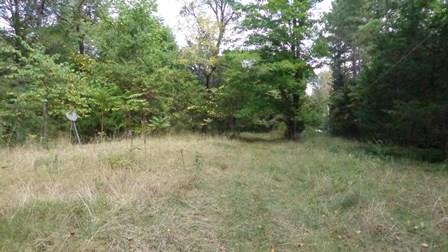 150 Spindle Road Dickson, TN 37055 - Photo 1 of 8